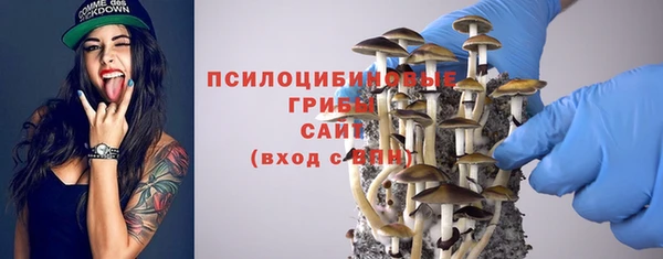 не бодяженный Абаза