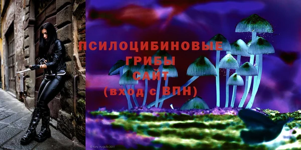 каннабис Алзамай