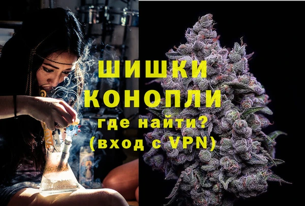 гидра Мегион